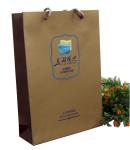 Hot Stamp 230gsm UV Logo Paper Carrier Bag Matt Lamination for advertising