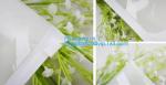 skin care bags, CLEAR PVC HEATSEALED BAG, pvc k bag for file and document, Pvc
