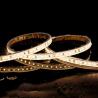 Buy cheap 110v220v 8mm IP67 120leds 6500K Waterproof Die-Cutting Board SMD2835 Led Strip Light from wholesalers