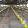 Buy cheap 1.5kW 200L Poultry Automatic Pan Feeding System from wholesalers