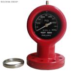 0 - 20000psi Type D Type F Oil Field Drilling Mud Pump Pressure Gauge