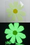 Customized Glow In The Dark Logo Waterproof Luminous Heat Transfer