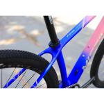 Carbon Fiber Construction Mountain Bike for Adults 29 Inch Aluminum Alloy Fork
