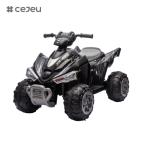 CJ-CH9917A,12V7AH*1/35W*2 Forward/Backward Front light Horn/Purple Red Blue Pink