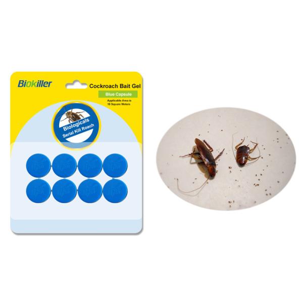 Buy cheap Household Cockroach Killer Bait Box Harmless to Humans Animals for Periplaneta Fuliginosa from wholesalers