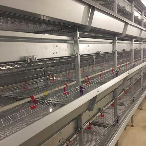 Buy cheap Fireproof Baby Chick Cage Automatic Drinking System Corrosion Resisting from wholesalers
