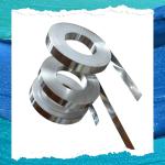 1 Ton MOQ Cold Rolled Stainless Steel Strip with Slit/Round/Deburred Edge