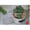 Buy cheap 2016 wicker garden baskets willow garden basket from wholesalers