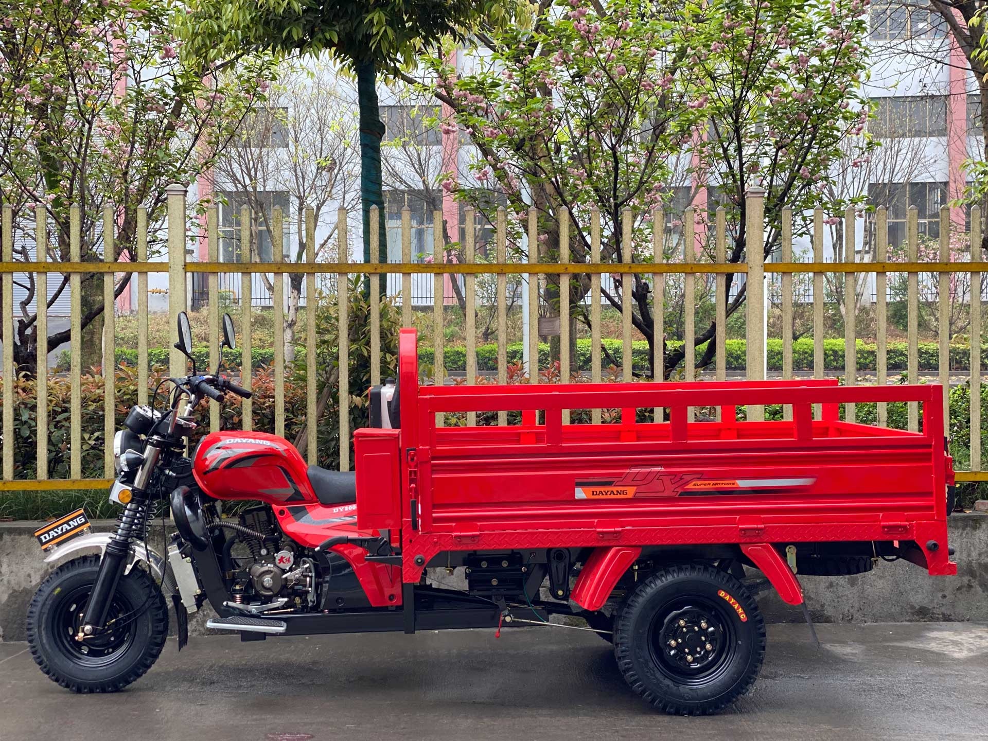 DAYANG High Stability Sales Cargo Tricycle with Full Float Belt and Changan Rear Axle