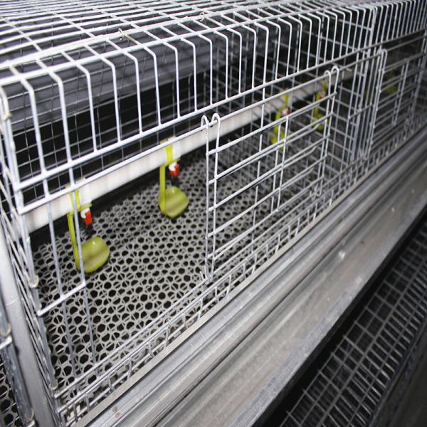 Buy cheap Farming Coop Broiler Chicken Cage Animal Husbandry Equipment from wholesalers