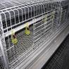Buy cheap Farming Coop Broiler Chicken Cage Animal Husbandry Equipment from wholesalers
