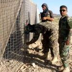 Military 4mm Defensive Barrier Galvanized Welded Bastion Sand Wall