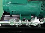 Cummins KTA19 300KW Gas Engine