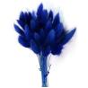 Buy cheap Wholesale cheap preserved dried flower 150 pcs /bunch dried rabbit tail grass lagurus ovatus from wholesalers