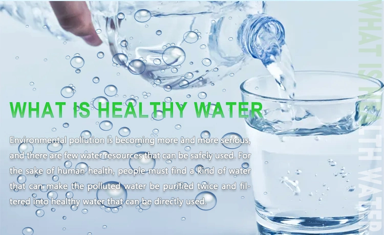 50m3/H Ultrafiltration (UF) Water Purification Systems