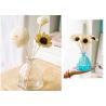 Buy cheap Colored Decorative Glass Vases , Large Clear Glass Vase OEM Service from wholesalers