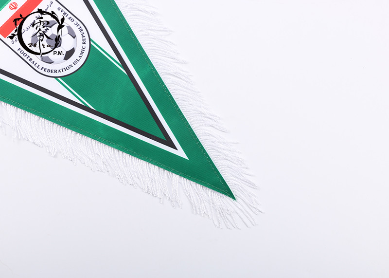 Iran Pennant Multicultural Flag Banners , Digital Printed National Country Team World Cup Flags
