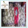 Buy cheap Best Price Hot Sale Fresh Garlic wholesale nomal white and pure white 2016 fresh garlic from wholesalers