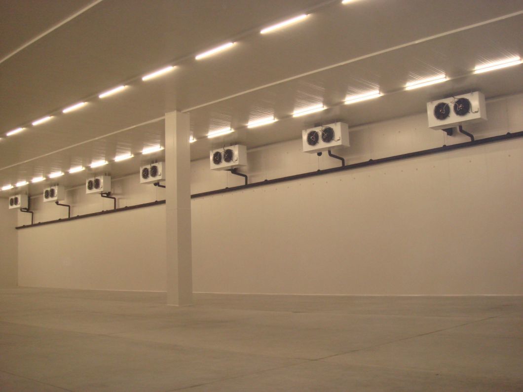 PU/PIR Insulation Fireproof Sandwich Panel for Steel Structure/Concrete Building Warehouse