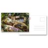 Buy cheap 2.5*3.5 Inch Animal Theme Lenticular 3D Poker Cards For Gifts Or Promotion from wholesalers