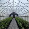 Buy cheap Tunnel Film Automatic Blackout Greenhouse Hydroponic American Agriculture Light Dep from wholesalers
