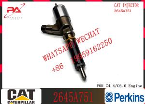 China Common Rail Injector   2645A709 295-9130 382-0480 282-0490 292-3780 306-9380 306-9390 310-9067 2645A751 on sale