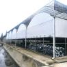 Buy cheap Nursery Commercial Blackout System Plastic Panda Film Multi-span Greenhouse from wholesalers