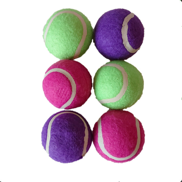 Tennis Balls for Dogs Funny Squeaky Dog Toys Chew Toys for Exercise and Training | 6 Pack Colorful Easy Catching Pet Dog