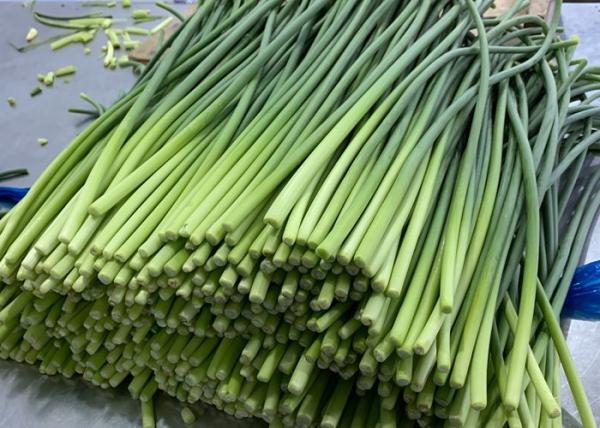 Buy cheap GLOBAL GAP 200g bundle Fresh Garlic Bolt Spout from wholesalers
