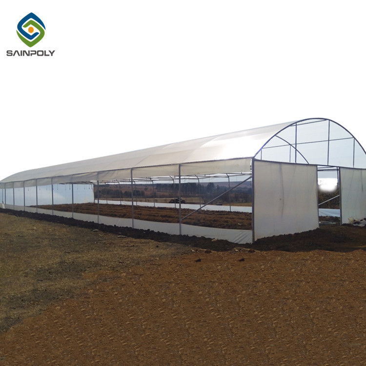 0.20mm Cucumber Plant Pe Film Single Span Greenhouse