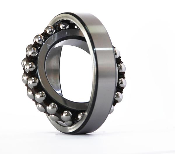 Double Row Self Aligning Ball Bearings Normal Clearance Standard Cage Ball