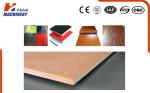 Multifunctional Hydraulic Hot Press Machine For Singele Veneer Decoration Board