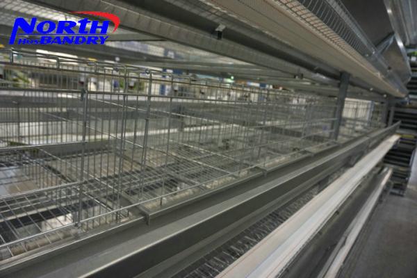 Buy cheap Hot selling A frame automatic layer poultry cages in Nigeria from wholesalers