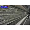 Buy cheap layer poultry cages for nigeria/africa automatic chicken layer cage with high quality from wholesalers