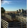 Buy cheap Bulk Carbon Steel 1.7m Galvanized Livestock Fence Panels , Portable Goat Panels from wholesalers
