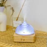 Solid Wood Glass Aroma Diffuser▕ DN-839