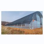 Buy cheap Single Span Agricultural Greenhouses Shading Net Film Greenhouse For Tomato from wholesalers