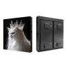 Buy cheap P6.67 Outdoor Fixed LED Display SMD3535 5500nits 960x960mm Rear Service from wholesalers