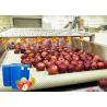 Buy cheap Water Saving Energy Saving Apple Jam Production Line Turnkey Project from wholesalers