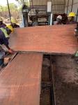 Shandong Horizontal Wood Portable Band Saw Sawmill Log Sawing Machine