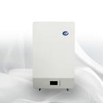 LiFePO4 Wall Mounted Battery 5Kwh Home Energy Storage System 48V 100Ah