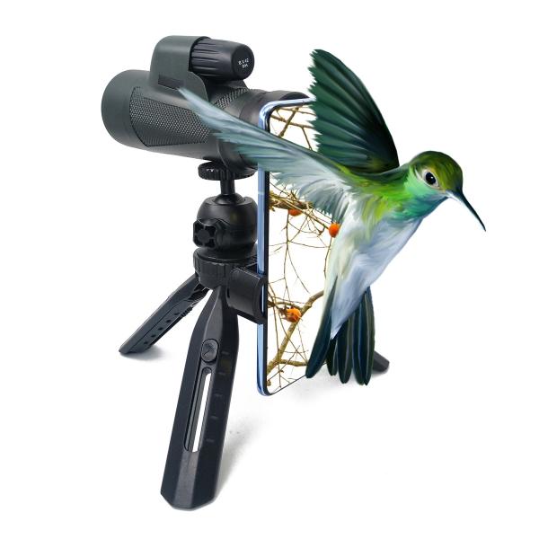 Buy cheap 8x42 Patent Monocular IPX7 Nitrogen Filled Waterproof Telescope For Adults Kids from wholesalers