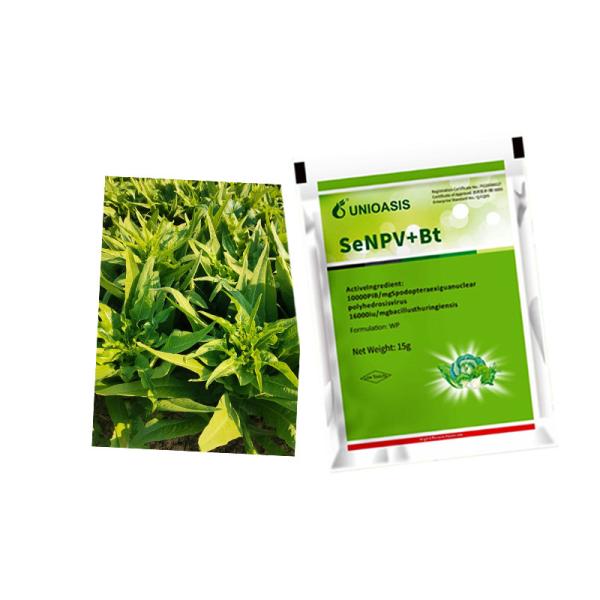 Vegetable Protection Environmentally Friendly Safe Insecticide for Safeguarding