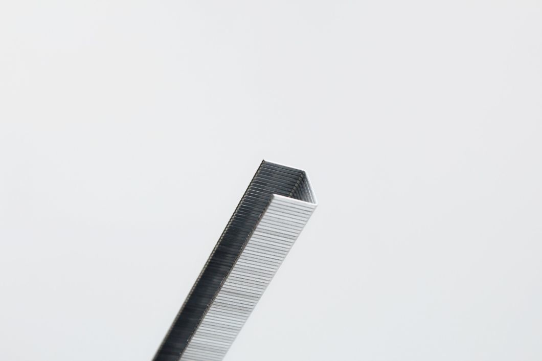Hot Sale 84 Series Galvanized Industrial Wire Staples 20 Gauge with High Quality 8416