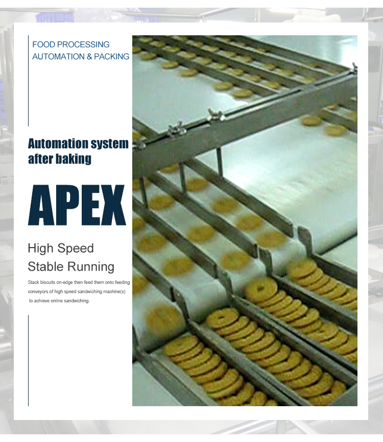 Food Grade Custom Biscuit Automatic Conveyor Sorting System For Food Industry
