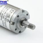 Permanent Magnetic 12V DC Gear Motor 28mm Micro Brushed Dc Motor