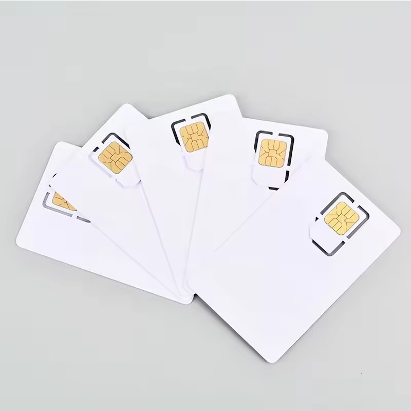 Original Jcop21 40K J2A040 Chip RFID Smart Card Printed Color JCOP Card
