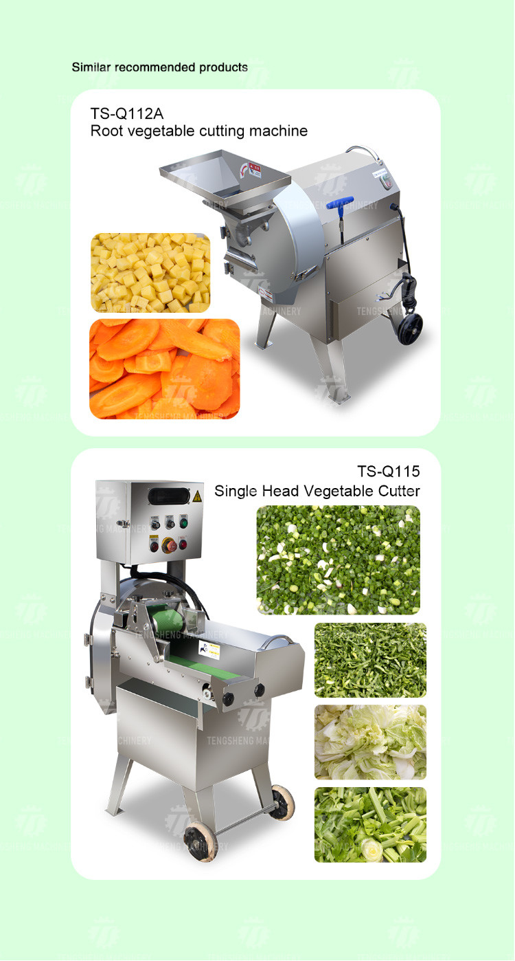 1000KG/H 80KG Vertical multi-function vegetable slicer balanced onion slicer Orange circular slicer high yield