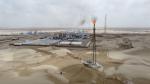 Durable Natural Gas Generator Electrical Generation System for Remote Locations