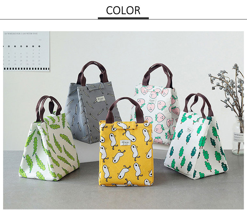 L19*D17cm Silk Printing Insulated Lunch Cooler Bags